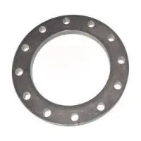 Flangia piana PN16 DN200 ø8" 412200016