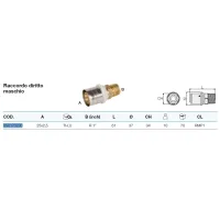 Raccordo diritto maschio ø25/2,5 x 1" Pexal Brass - raccordo a pressare VS0170230