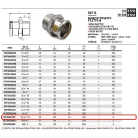 Manicotto misto MF filetto M ø76,1 x 2"1/2M Inox 316L a pressare GAS 187212076G