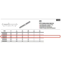 Vite ferro-legno zincata M10 x 120mm 216010120