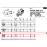 Vite doppia ridotta zincata ø1"M x 3/4"M 245100344