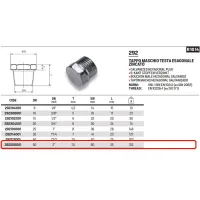 Tappo maschio testa esagonale zincato ø2"M 292200001