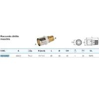 Raccordo diritto maschio 40x3,5 x 1"1/4 - Pexal Brass - raccordo a pressare VS0130627