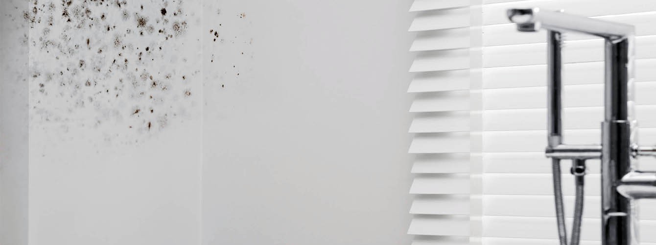 Umidità in casa: come prevenirla con la ventilazione meccanica