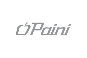 P.A.I.N.I.